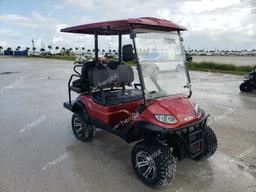 GOLF GOLF CART 2022 burgundy   LTA0115455 photo #2