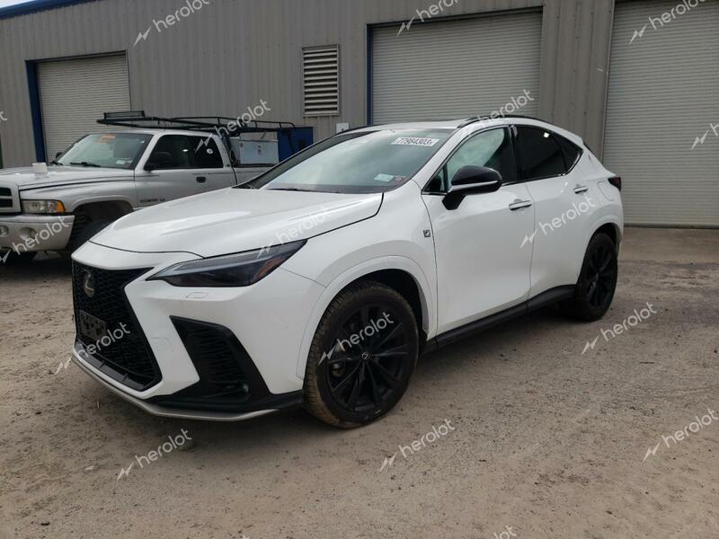 LEXUS NX 350 LUX 2024 white  gas 2T2KGCEZ7RC034660 photo #1