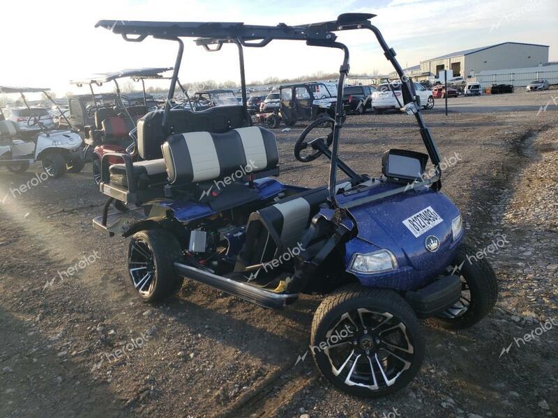 OTHER GOLF CART 2024 black   EVBD0105219 photo #1