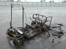 OTHER GOLF CART 2019 burn   3383635 photo #3