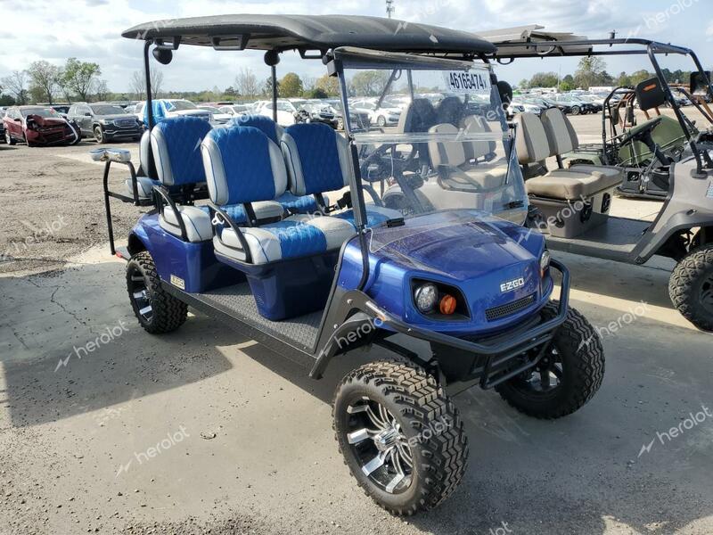 GOLF CART 2018 blue   FLA105026 photo #1