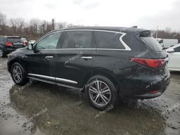 INFINITI QX60 LUXE 2019 black  gas 5N1DL0MM7KC549150 photo #3