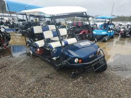 GOLF CART 2012 blue   FLA66275 photo #2