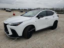 LEXUS NX 350 LUX 2024 white  gas 2T2KGCEZ4RC049536 photo #2