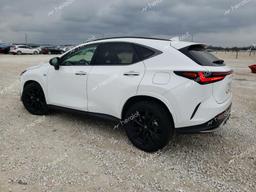 LEXUS NX 350 LUX 2024 white  gas 2T2KGCEZ4RC049536 photo #3