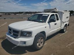 DODGE DAKOTA SLT 2011 white  gas 1D7RW3BP1BS686080 photo #2