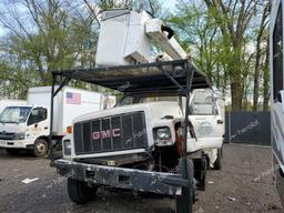 GMC C-SERIES C 2001 beige chassis gas 1GDL7H1E81J508113 photo #3