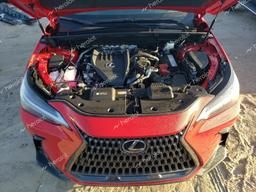 LEXUS NX 350 LUX 2024 red  gas JTJHGCEZ8R2015111 photo #4