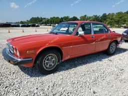 JAGUAR XJ6 1980 red   JAVLN4AC313636 photo #2