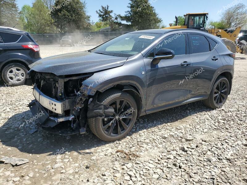 LEXUS NX 350 LUX 2024 charcoal  gas 2T2KGCEZ8RC047756 photo #1