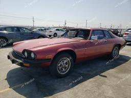 JAGUAR XJS 1979 red   JNVEX49C103275 photo #2