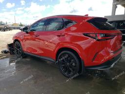 LEXUS NX 350 LUX 2024 red  gas 2T2KGCEZ0RC058251 photo #3