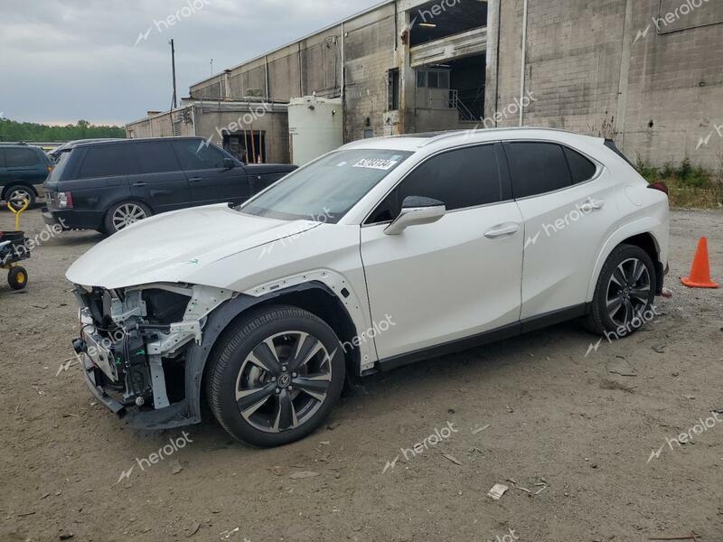 LEXUS UX 250H PR 2024 white  hybrid engine JTHP6JBH7R2175352 photo #1