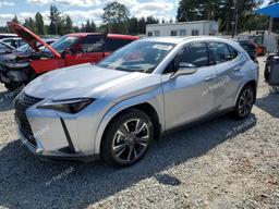 LEXUS UX 250H PR 2024 gray  hybrid engine JTHP9JBHXR2074703 photo #2