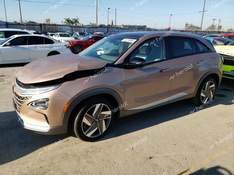 HYUNDAI NEXO LIMIT 2020 gold  hydrogen fuel cell KM8J84A69LU007979 photo #1