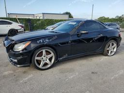 MERCEDES-BENZ SLK 250 2013 black converti gas WDDPK4HA9DF061496 photo #2