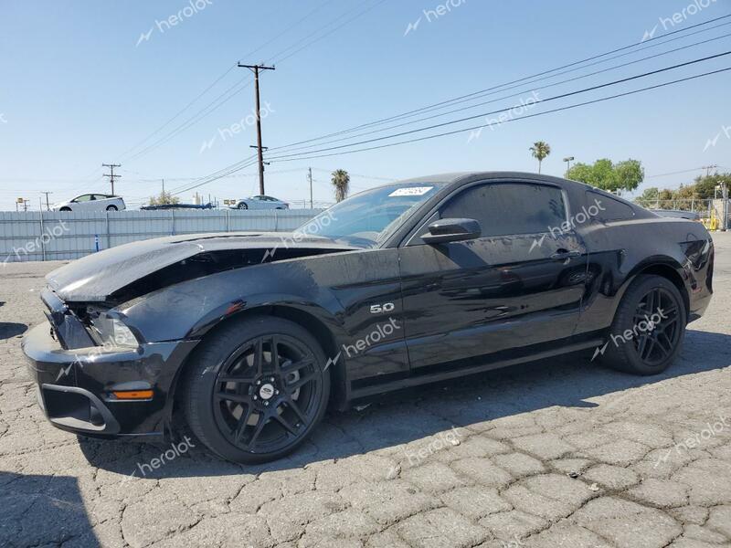 FORD MUSTANG GT 2014 black coupe gas 1ZVBP8CFXE5252624 photo #1