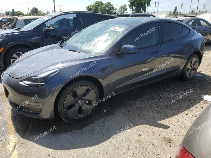 TESLA MODEL 3 2023 gray  electric 5YJ3E1EA4PF568561 photo #1