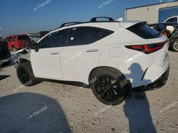 LEXUS NX 350 LUX 2024 white  gas 2T2KGCEZ7RC054410 photo #3