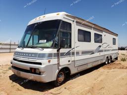 FORD WINNEBAGO 1996 beige  gas 3FCMF53G2TJA10814 photo #3