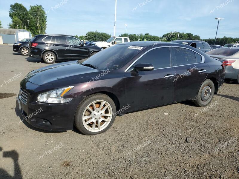 NISSAN MAXIMA S 2010 purple sedan 4d gas 1N4AA5APXAC837595 photo #1