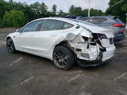 TESLA MODEL 3 2019 white  electric 5YJ3E1EB7KF493713 photo #3