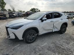 LEXUS NX 350 LUX 2024 white  gas 2T2HGCEZ4RC054519 photo #2