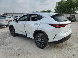 LEXUS NX 350 LUX 2024 white  gas 2T2HGCEZ4RC054519 photo #3