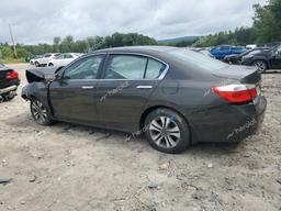 HONDA ACCORD LX 2013 green sedan 4d gas 1HGCR2F30DA256415 photo #3