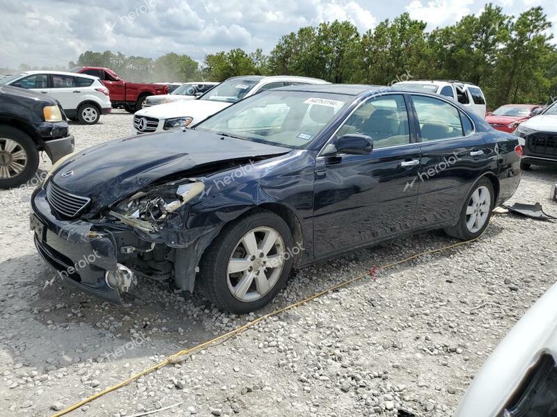 LEXUS ES 330 2005 blue  gas JTHBA30G355060156 photo #1