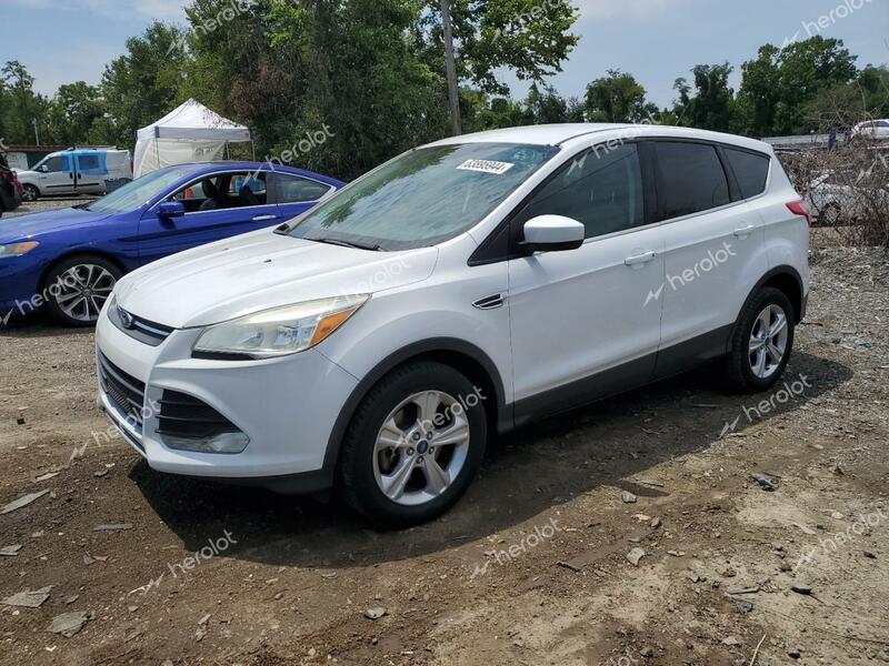 FORD ESCAPE SE 2016 white 4dr spor gas 1FMCU9GX2GUB00706 photo #1