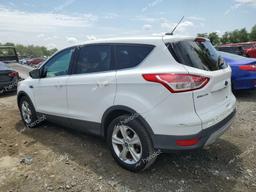 FORD ESCAPE SE 2016 white 4dr spor gas 1FMCU9GX2GUB00706 photo #3