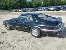 JAGUAR XJS 1992 black coupe gas SAJNW5847NC181985 photo #3