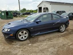 PONTIAC GTO 2005 blue  gas 6G2VX12U55L458539 photo #2