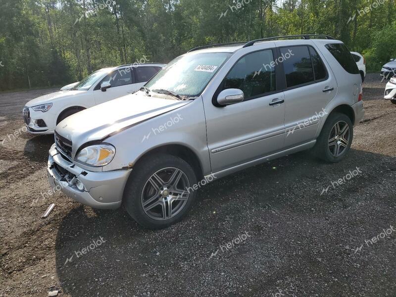 MERCEDES-BENZ ML 500 2002 silver 4dr spor gas 4JGAB75E02A359885 photo #1