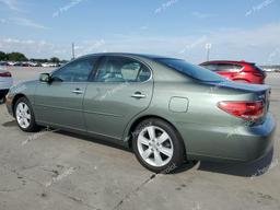 LEXUS ES 330 2005 green  gas JTHBA30G255110951 photo #3