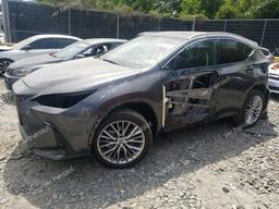 LEXUS NX 350 LUX 2025 gray  gas 2T2HGCEZ2SC060566 photo #2