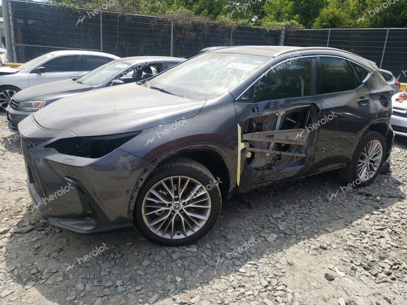 LEXUS NX 350 LUX 2025 gray  gas 2T2HGCEZ2SC060566 photo #1