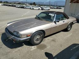 JAGUAR XJS CLASSI 1990 tan  gas SAJTW4843LC176247 photo #2