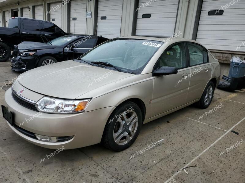 SATURN ION LEVEL 2004 gold  gas 1G8AL52F54Z114467 photo #1