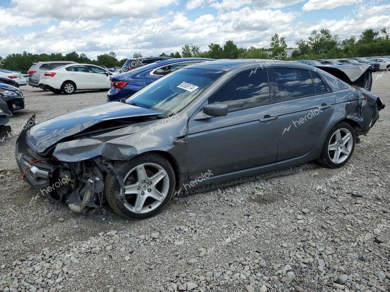 ACURA TL 2005 gray sedan 4d gas 19UUA66225A074288 photo #1