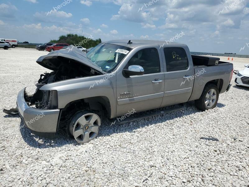 CHEVROLET 1/2 TON 2009 gray  gas 3GCEC23J79G238952 photo #1