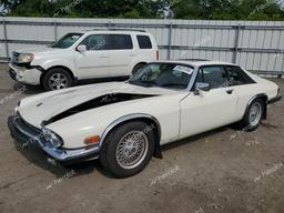 JAGUAR XJS 1989 white  gas SAJNA5841KC150225 photo #2