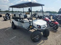 GOLF CART 2019 white   FLA107818 photo #2