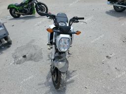 HONDA GROM 125 2023 gray  gas MLHJC921XP5102471 photo #3