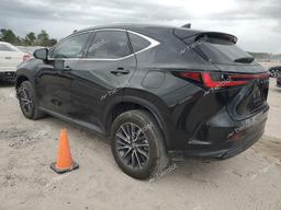 LEXUS NX 350 2022 black  gas 2T2GGCEZ8NC012036 photo #3