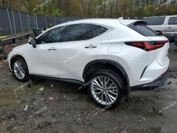 LEXUS NX 350 LUX 2024 white  gas 2T2HGCEZ3RC035721 photo #3