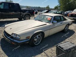 JAGUAR XJS 1985 beige  gas SAJNV5841FC117901 photo #2