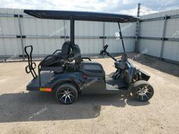 OTHER GOLF CART 2024 black   LTA0174924 photo #2