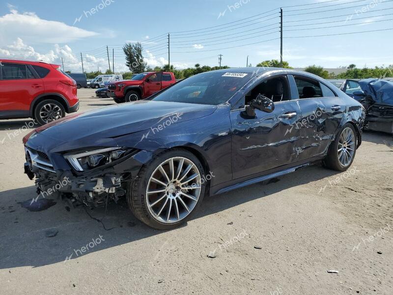 MERCEDES-BENZ CLS AMG 53 2019 blue  gas WDD2J6BBXKA028110 photo #1